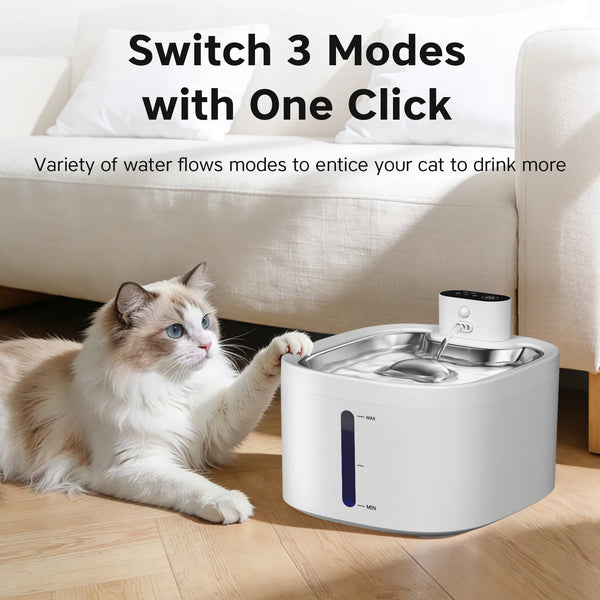 QuietFlow Cat Water Fountain