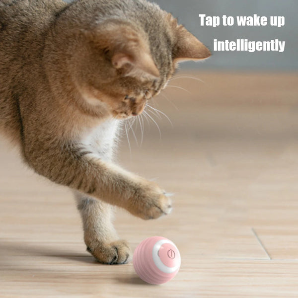 ActiveCatch LED Cat Ball